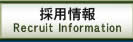 採用情報